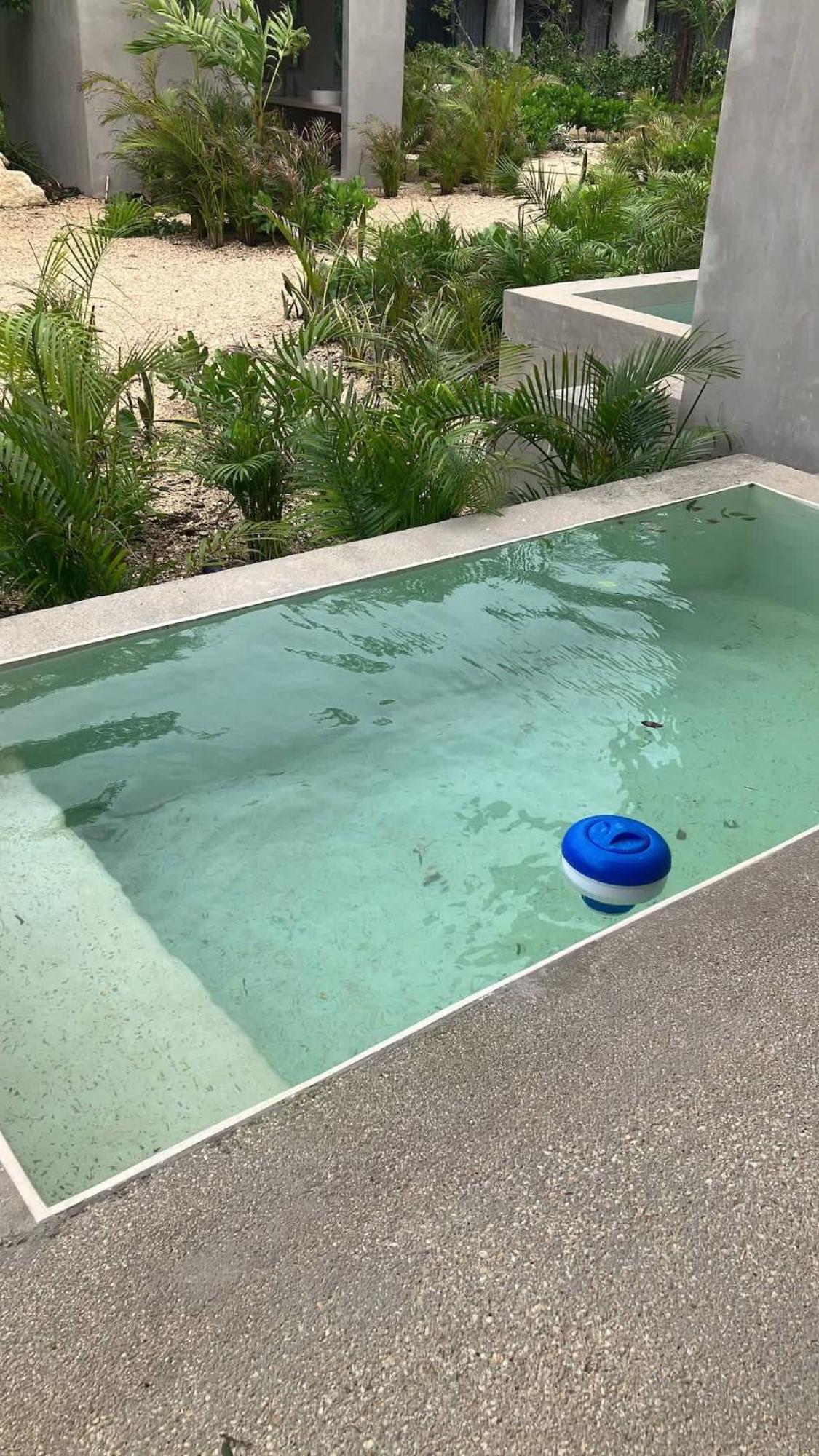 Aesthetic Mater Seremonia Origen With Private Pool Rooftop Jacuzzi And Gym Apartamento *